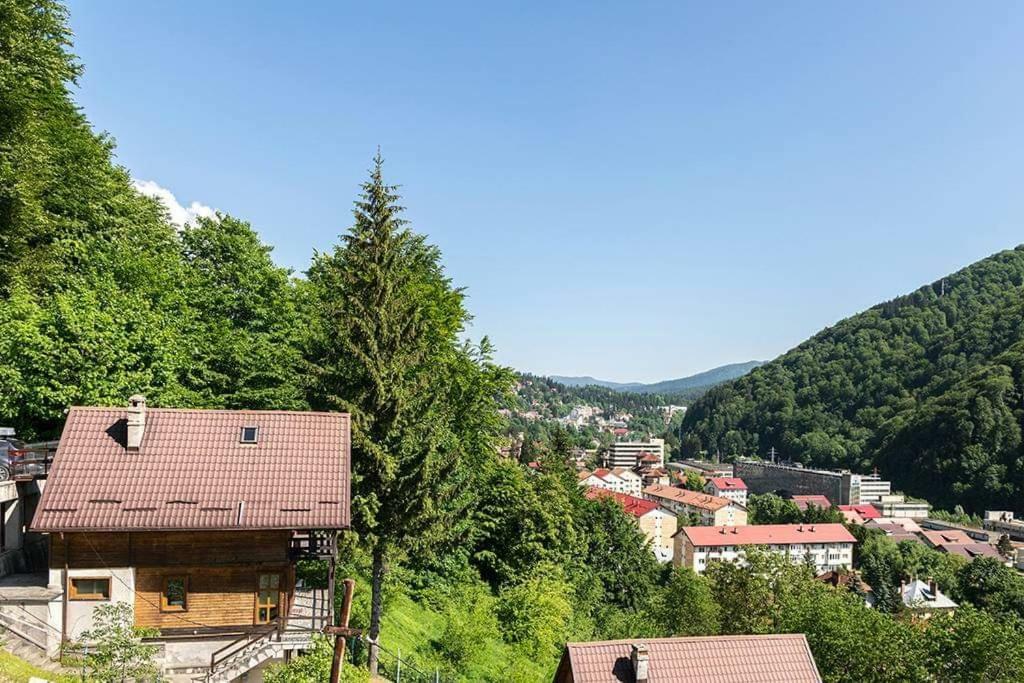 Florile Bucegilor Villa Sinaia Exterior photo