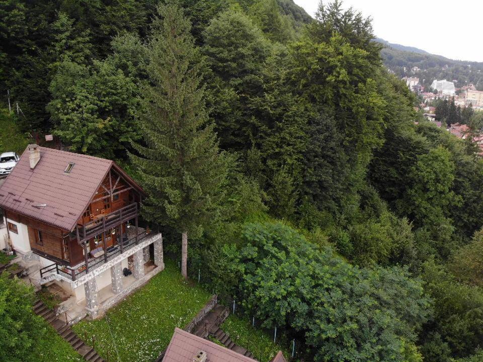 Florile Bucegilor Villa Sinaia Exterior photo